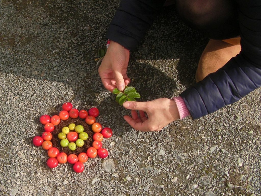 Environmental Art Waterford